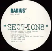 Section-8 - Drive By
