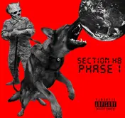 Section H8 - Phase 1