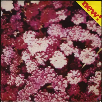 Section Vingt Cinq, Section 25 - Je Veux Ton Amour
