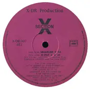 section x - Galaxian / X-Fly I