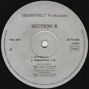 section x - Futur