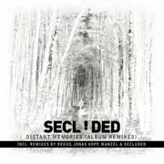 12inch Vinyl Single - Secluded - Distant Memories (Album Remixes)