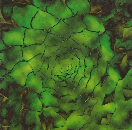 Second Nature - Second Nature