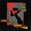 12inch Vinyl Single - Seconds Of Pleasure - Pull Me Up