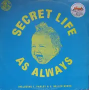12inch Vinyl Single - Secret Life - As Always