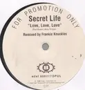 12inch Vinyl Single - Secret Life - Love Love Love