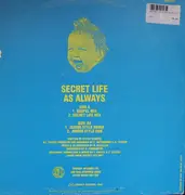 12inch Vinyl Single - Secret Life - As Always