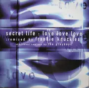 12inch Vinyl Single - Secret Life - Love Love Love
