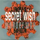 7inch Vinyl Single - Secret Wish - Wonder Why