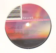 Secret Tunes - House of the Rising Sun