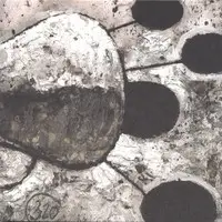 Secret Voices - No Time For Silence