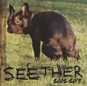 Seether - Seether 2002-2013