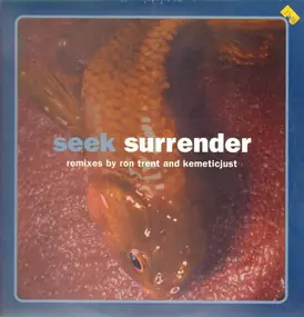 Seek - Surrender