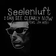 Seelenluft - I can see clearly now