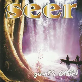 The Seer - Guats Gfühl