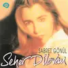 CD - Seher Dilovan - Sabret Gönül
