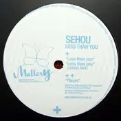 SeHou - Less Than You