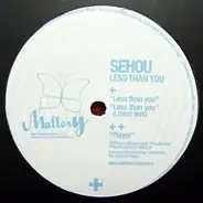 SeHou - Less Than You