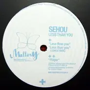 SeHou - Less Than You