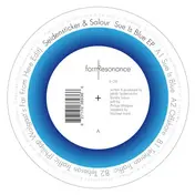 Seidensticker & Salour - Sue Is Blue, Marcus Wolgast Rmx