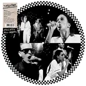 The Selecter - Access All Areas