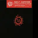 12inch Vinyl Single - Self Jupiter - Life Doesn't Get No Better Than This