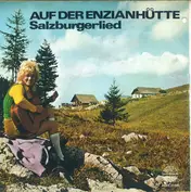 Sepp Burstaller Und Die Kerschnigg Buam