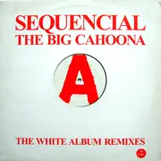 12'' - Sequencial - The Big Cahoona