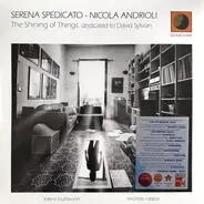 Serena Spedicato , Nicola Andrioli - The Shining Of Things. Dedicated To David Sylvian