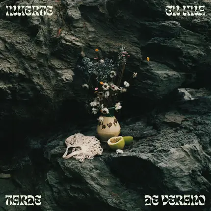 Sergio Díaz De Rojas - Muerte en una tarde de verano