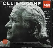 Mozart / Wagner / Schumann / Beethoven / Sergiu Celibidache - Mozart / Wagner / Schumann / Beethoven: Symphonies