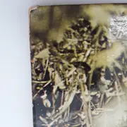 LP - Sergius Golowin - Lord Krishna von Goloka - 1st German Press on Kosmische Kuriere .