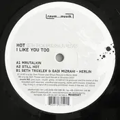 Seth Troxler - Hot - I Like You Too