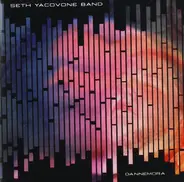 Seth Yacovone Band - Dannemora