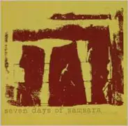 Seven Days Of Samsara - Never Stop Attacking