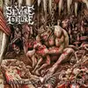 LP - Severe Torture - Feasting On Blood - BRUTAL DUTCH DEATH METAL CLASSIC ONTO VINYL !!