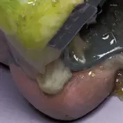 Pias UK/The Quietus Phonographic Corpora