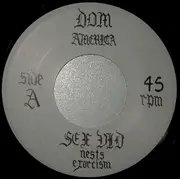 7inch Vinyl Single - Sex Vid - Nests - Ltd ed/ Incl. insert
