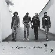 7inch Vinyl Single - Sexplosion - Poppertod - EP