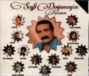Seyfi Doganay - Anisina