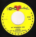 7inch Vinyl Single - Seymour - My Wonderful One - No cover