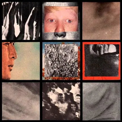 SFN / In Disgust - SFN / In Disgust