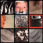 Sfn - SFN / In Disgust