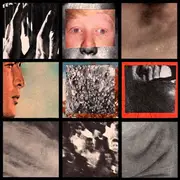 7inch Vinyl Single - SFN / In Disgust - SFN / In Disgust - Sticker