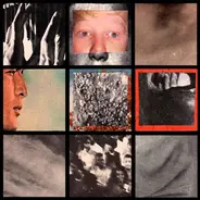 SFN / In Disgust - SFN / In Disgust