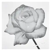 Sg - For Lovers Only / Rain Suite