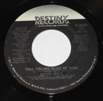 Skool Boyz - This Feeling Must Be Real