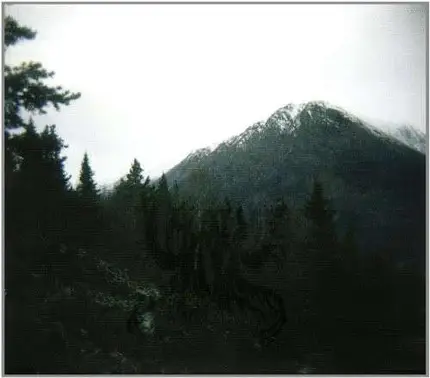 Skagos/Panopticon - Split