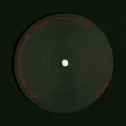 Skew & Satirist - Through The Compound Eye