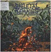 Skeletal Remains - Condemned to Misery